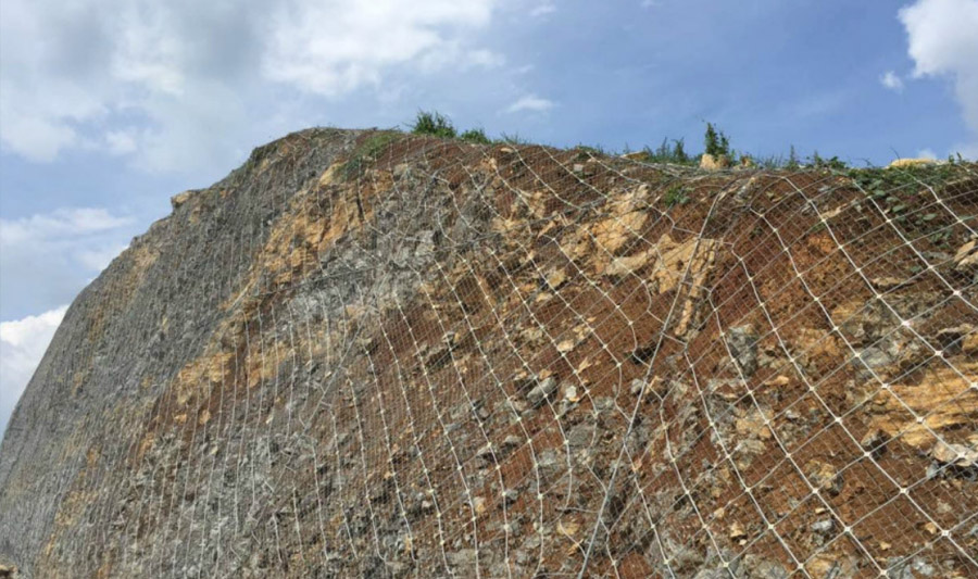 SNS��������(d��ng)���o(h��)�W(w��ng)